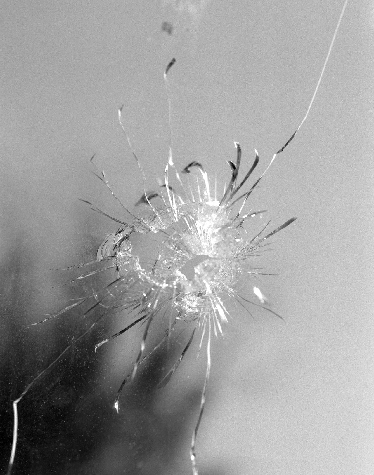 Kodak T Max10020220420 03 positive small