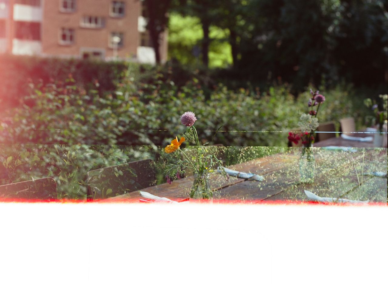 Bittersweet 2026 131 Amsterdam City Plot Obiekwe Okolo 053
