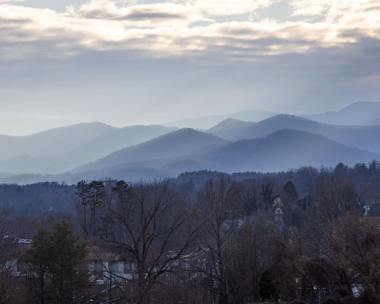 Bittersweet 2026 126 Asheville Seek Healing David Schmidgall 5 Q8 A5935