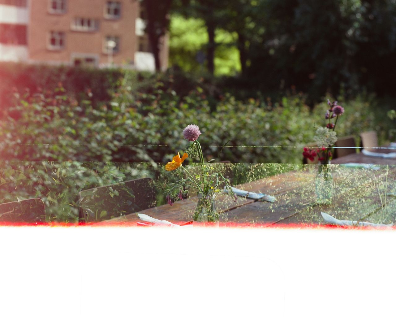 Bittersweet 2026 131 Amsterdam City Plot Obiekwe Okolo 053