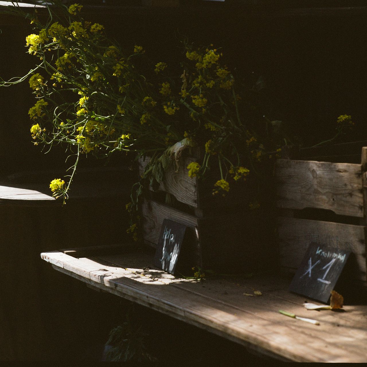 Kodak 160 c 41 9325 134224 298960 000073260012