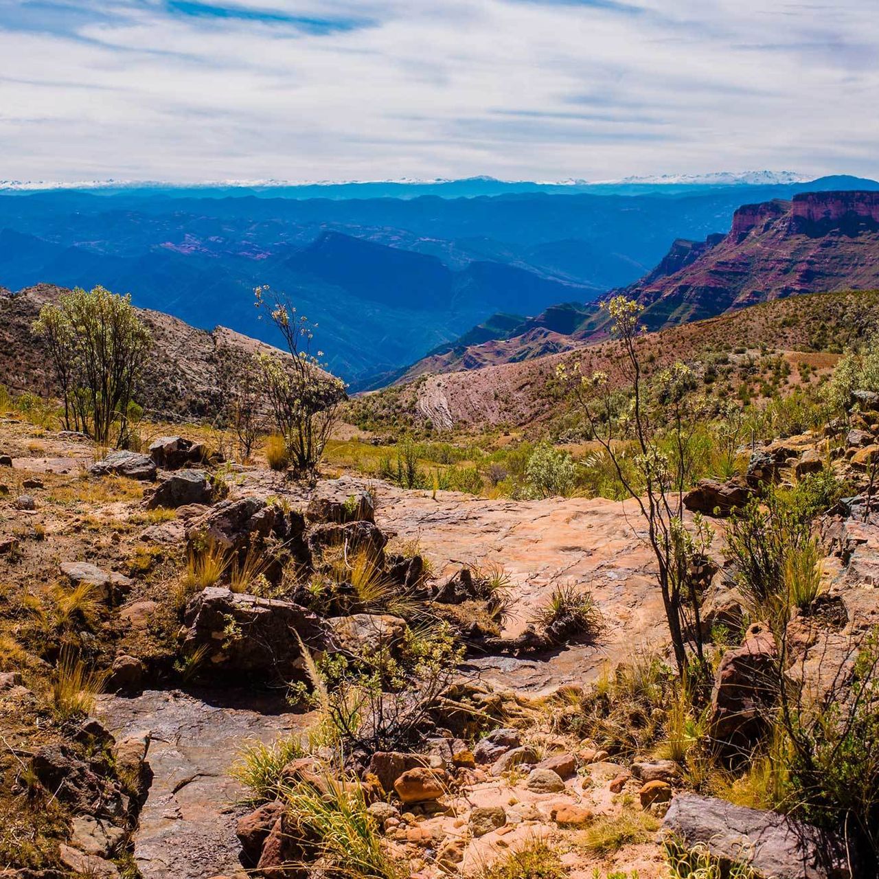38 Bolivia Toro Toro Andes Mountains