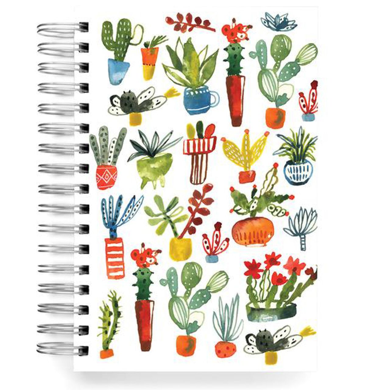 Ecojot Jumbo Succulents
