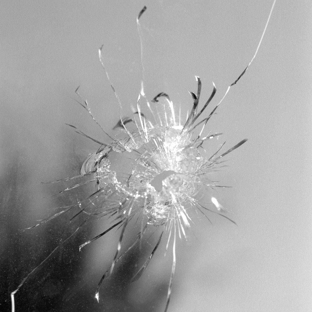 Kodak T Max10020220420 03 positive small