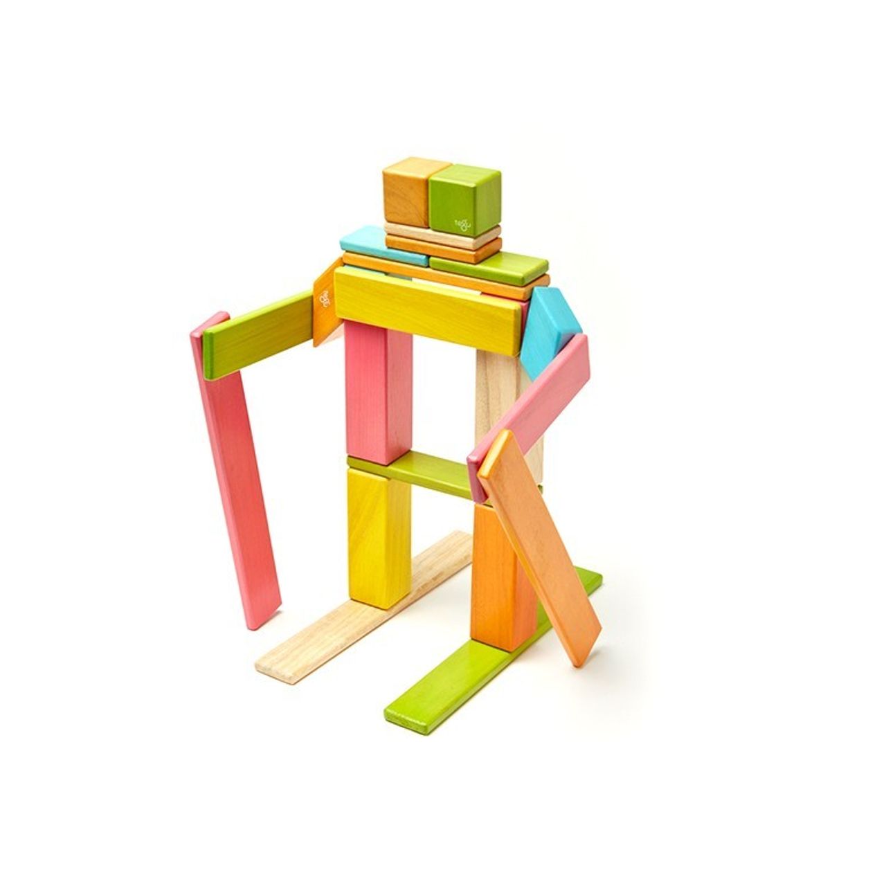 Tegu 24 Piece2