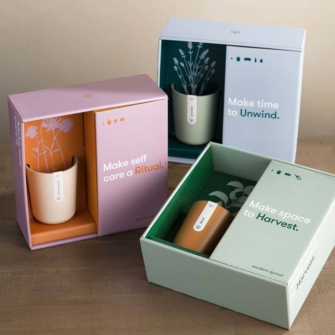 Viva Terra Plant Gift Boxes