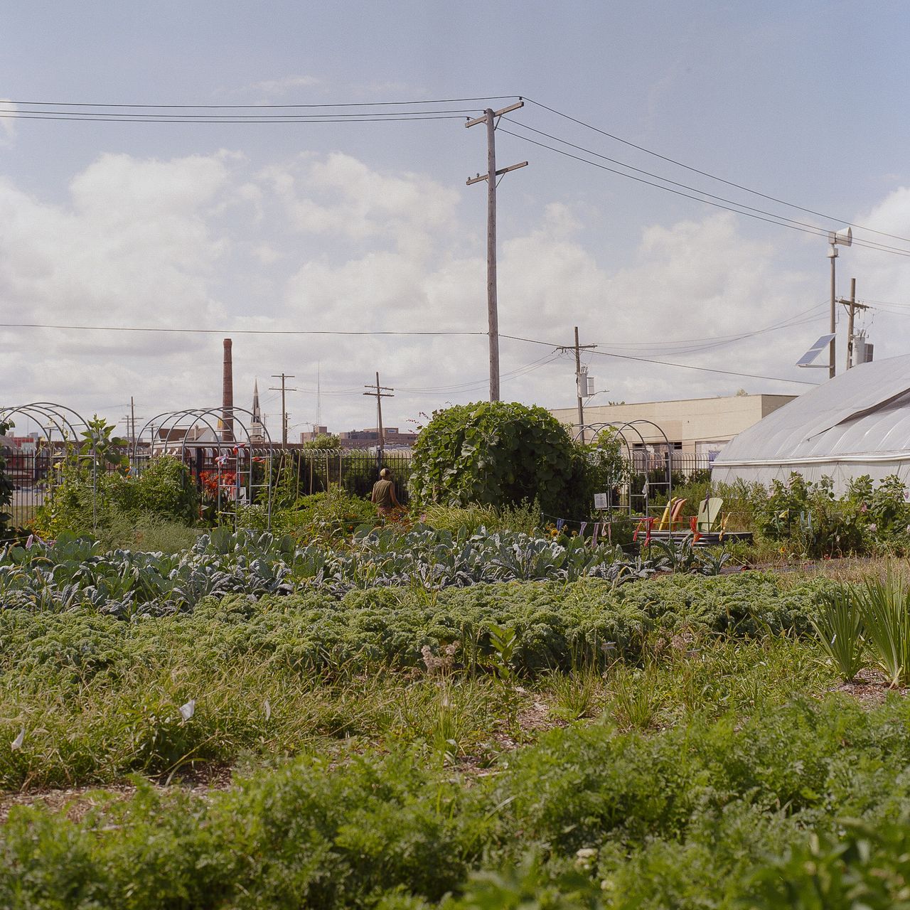 Kodak 200 c 41 9325 103501 231628 002302560012