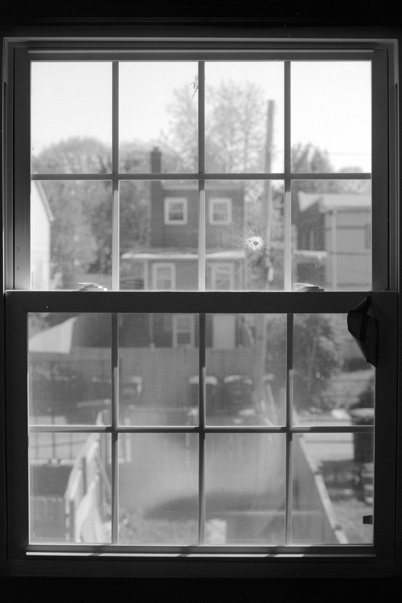 Kodak T Max10020220420 05 positive small