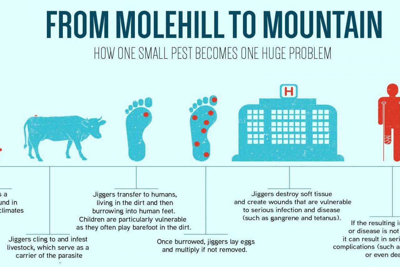 Bsm Sh Infographic2 0