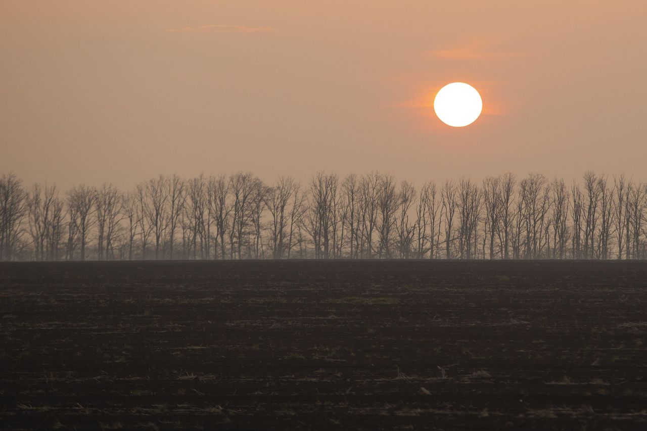 5 N5 A4705 cropped HR