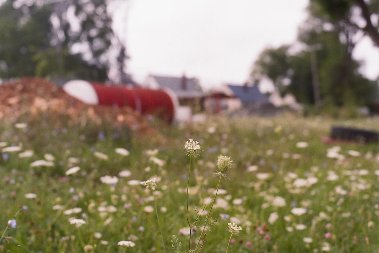 Kodak 400 c 41 9325 103501 231630 002302580009