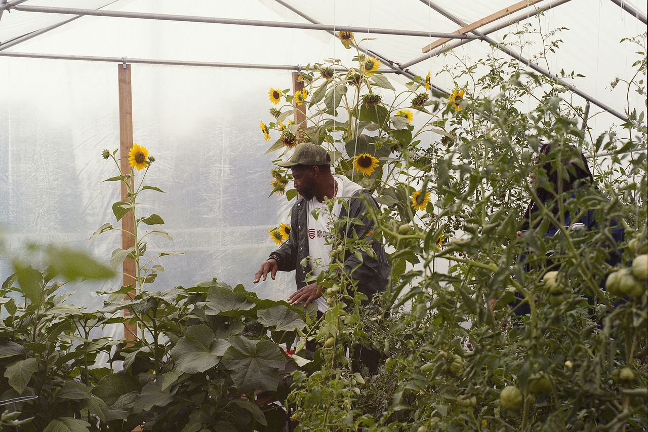 Kodak 400 c 41 9325 103501 231631 002302590006