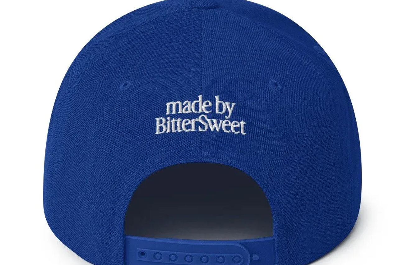 Classic snapback royal blue back 68880904efaec