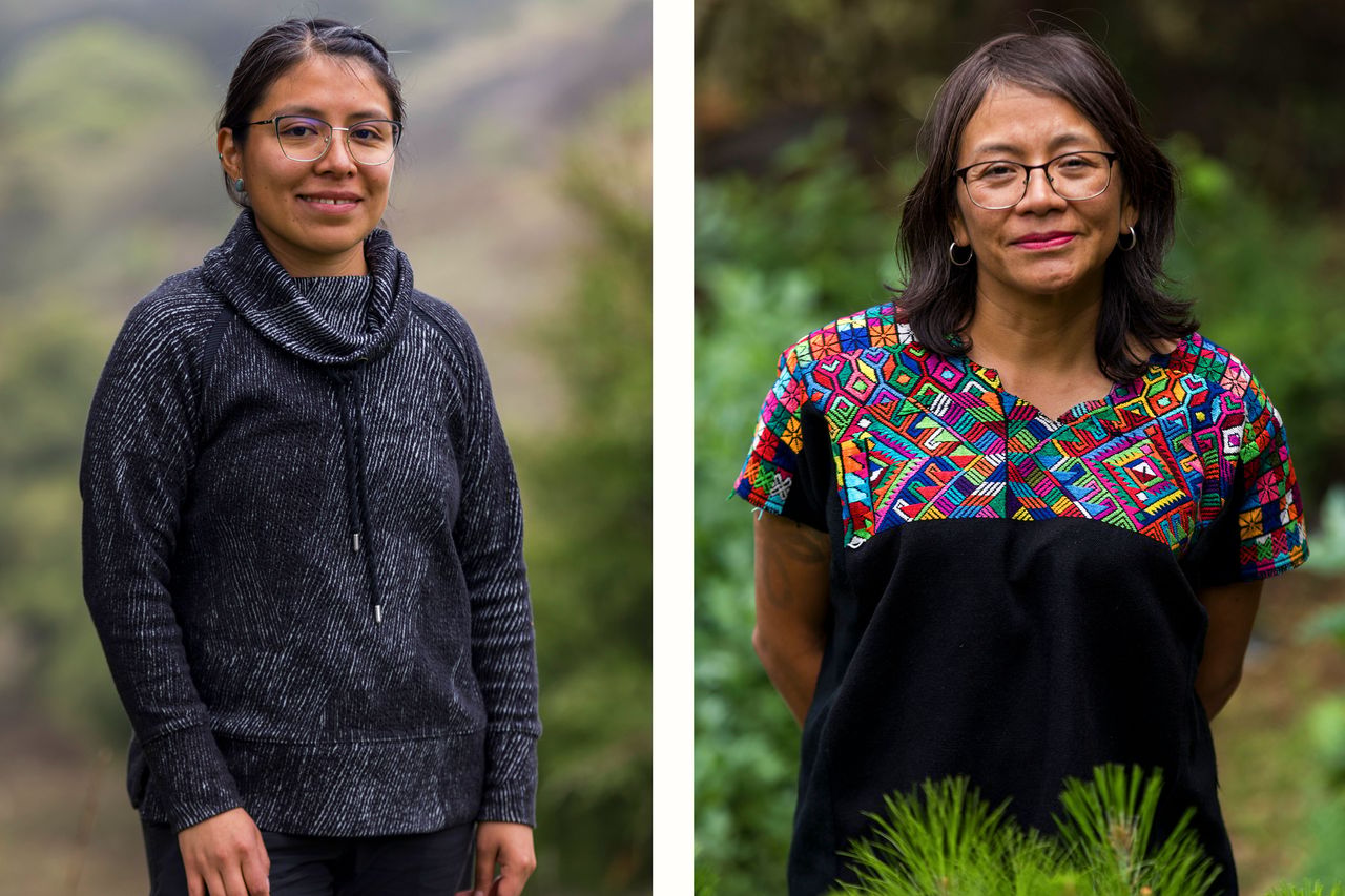 2025 Steve Jeter Guatemala AMA DIPTYCH5 FULL2