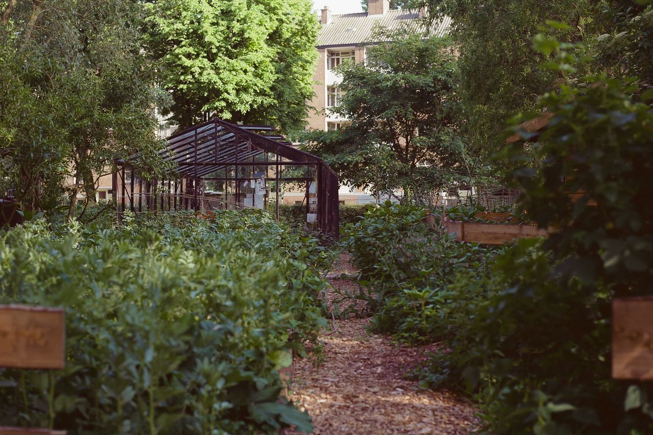 Kodak 100 c 41 9325 134224 298959 000073240010
