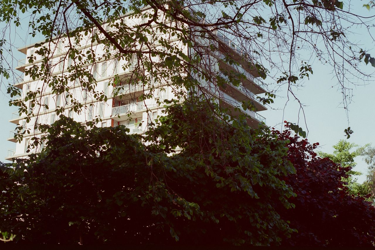 Kodak 100 c 41 9325 134224 298959 000073240012