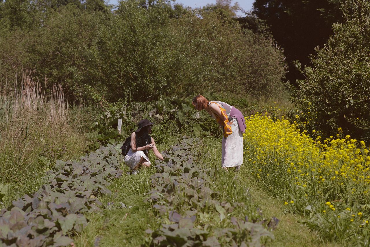 Kodak 160 c 41 9325 134224 298960 000073260006