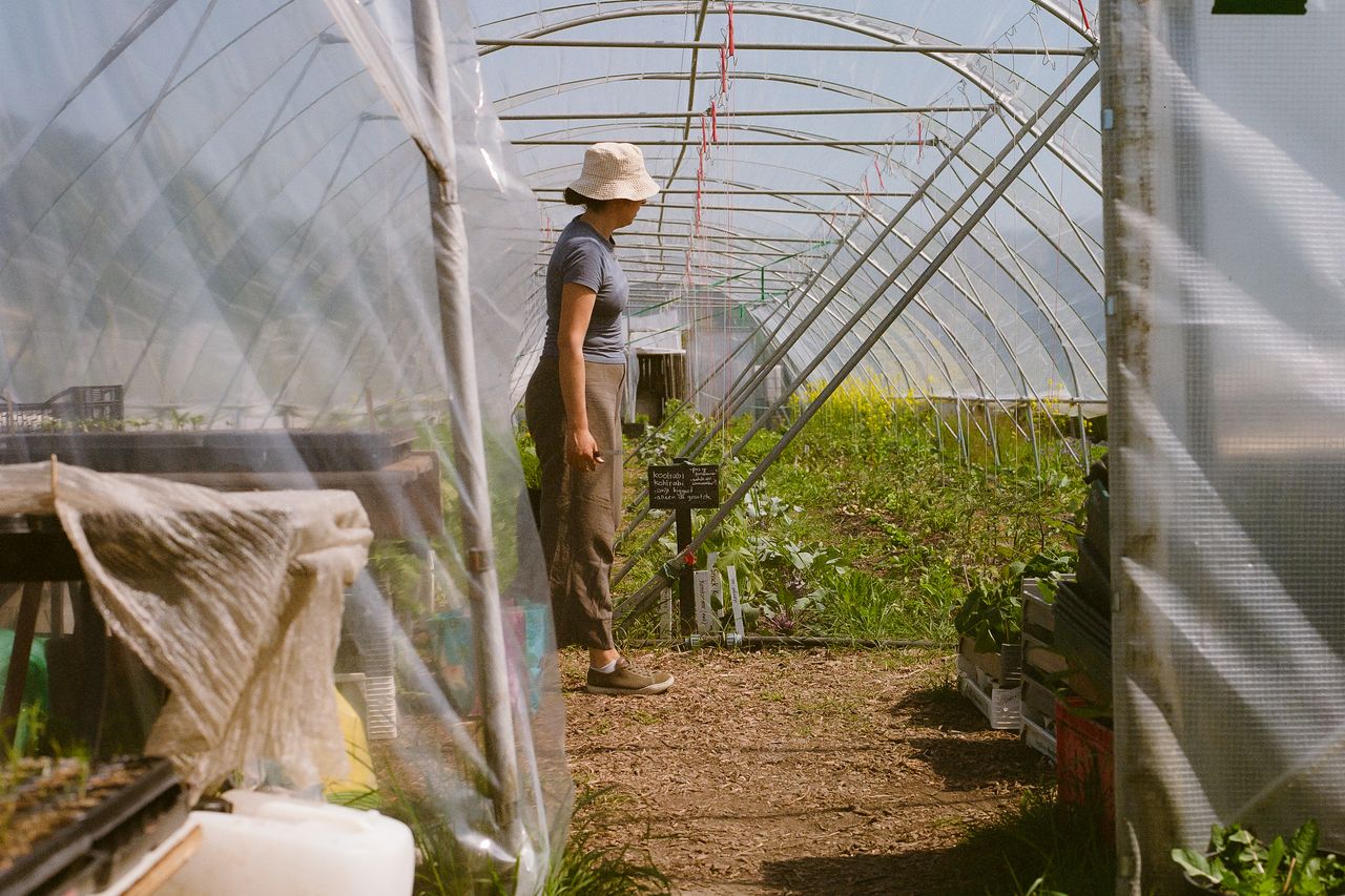 Kodak 400 c 41 9325 134224 298965 000073310007