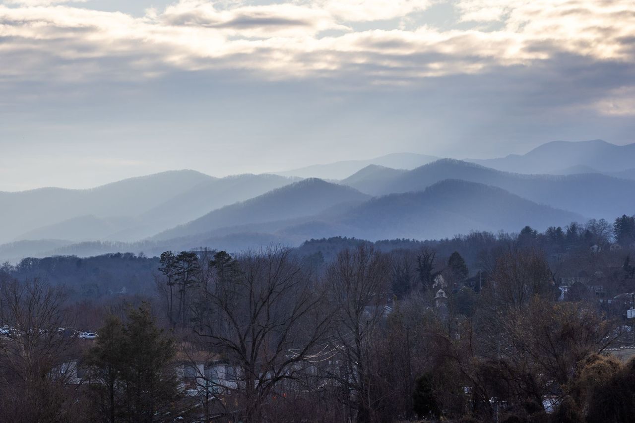 Bittersweet 2026 126 Asheville Seek Healing David Schmidgall 5 Q8 A5935