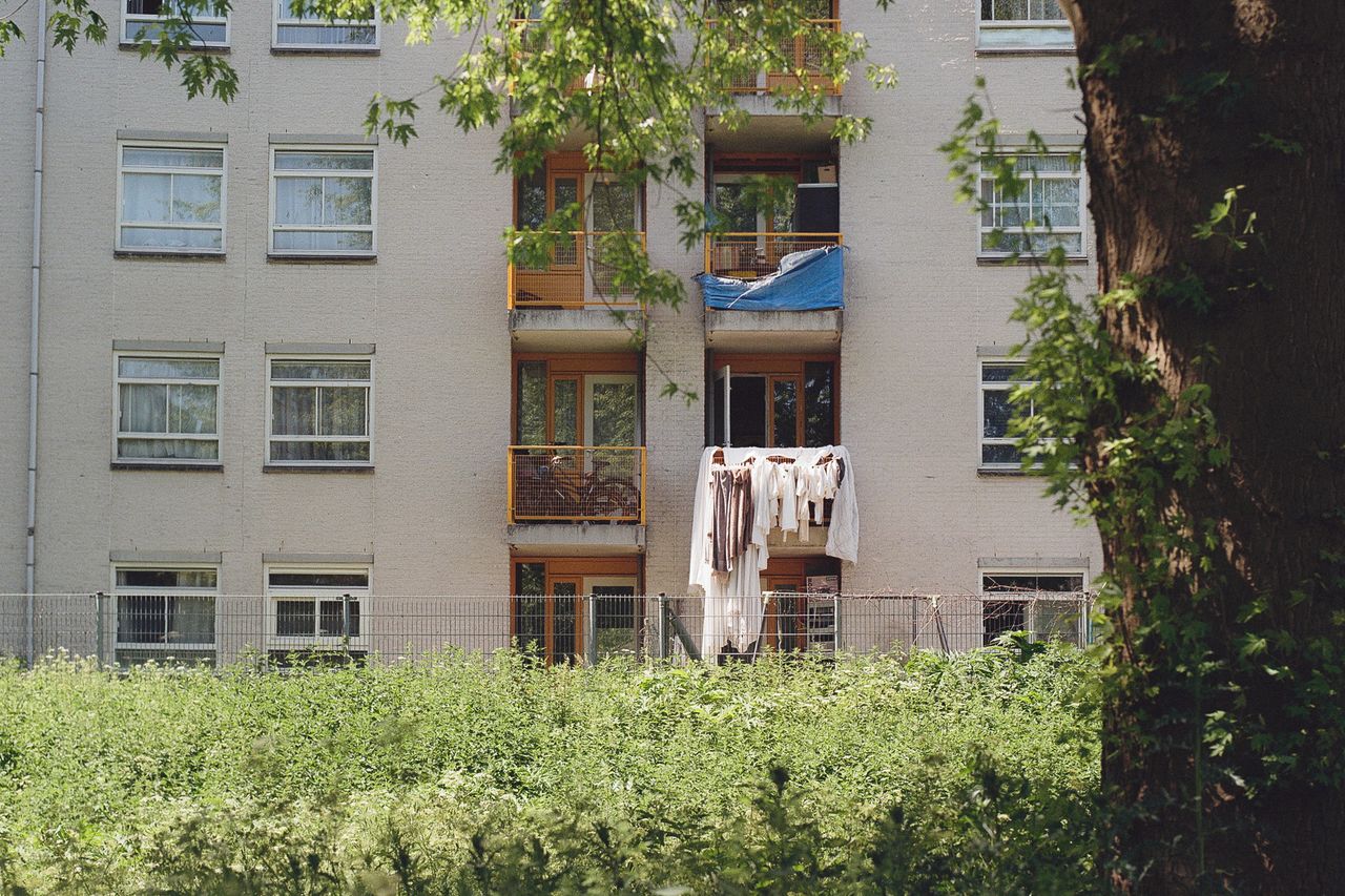 Bittersweet 2026 131 Amsterdam City Plot Obiekwe Okolo 037