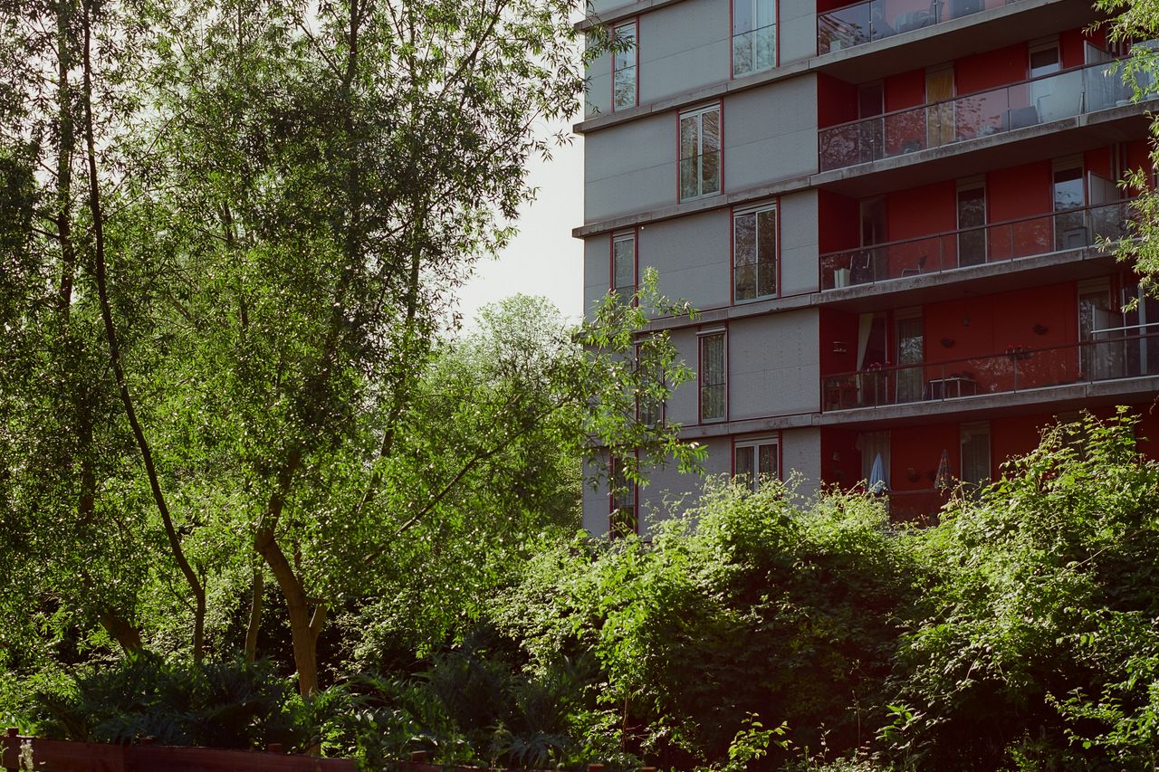 Bittersweet 2026 131 Amsterdam City Plot Obiekwe Okolo 086