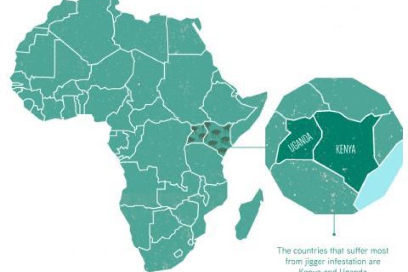 Jigger Map Africa